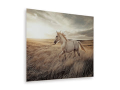 48 × 36 Horse Landscape Glass Wall Art, angle view - 3