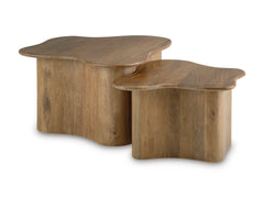 Light Brown Solid Mango Wood Bunching Coffee Tables — Set of 2, two tables arranged together - 2