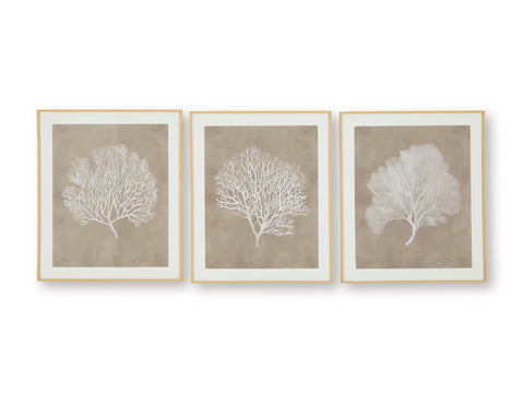 Hendridge Taupe and White Coral Framed Print Set of 3
