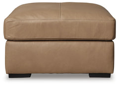 Toffee, complete front view - 2