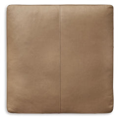 Toffee, complete top view - 3