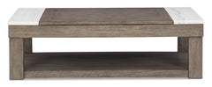 Grayish Brown/White Lift-Top Coffee Table, product view 2 - 2