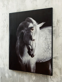 Black/White Archerwick wall art, product view 5 - 5