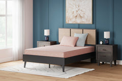 Coral Full, mattress and pillow in room; bed and furnishings excluded - 8