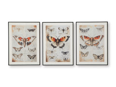 Orange/Black/Ivory Three-Piece Wall Art Set, full product view - 1
