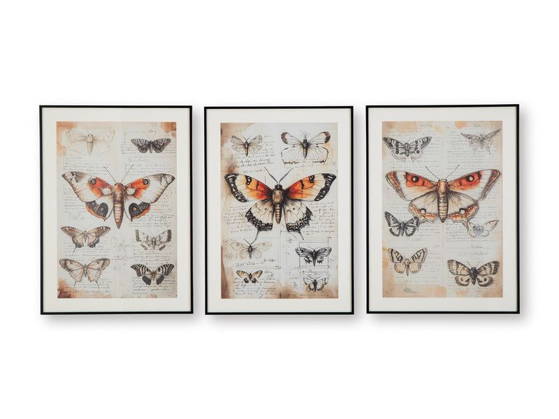 Vintage Butterfly Framed Wall Art Set of 3