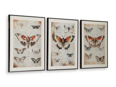 Orange/Black/Ivory Three-Piece Wall Art Set, product view 2 - 2