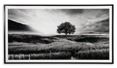 Black/White Wall Art, full product view - 1