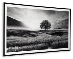 Black/White Wall Art, product view 2 - 2