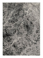 Cailey 5' x 7' Rug